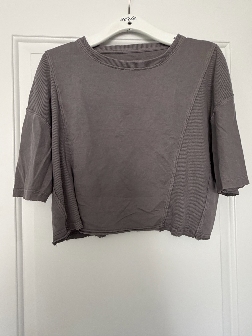 aerie Taupe Cropped Boxy Short-Sleeve